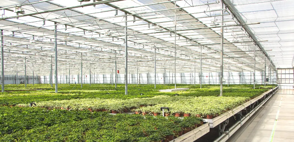 Greenhouse