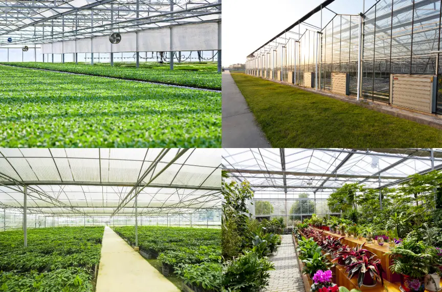 Morden Greenhouse