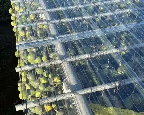 How to Choose the Right Polycarbonate Roofing Sheet for Your Project