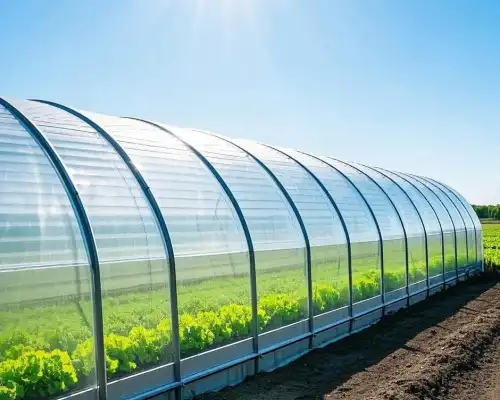 Morden Greenhouse